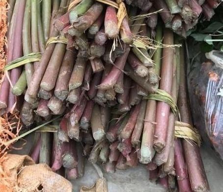 营养全面的食物，男女记得吃，细腻肌肤，排毒消脂，预防身体患病