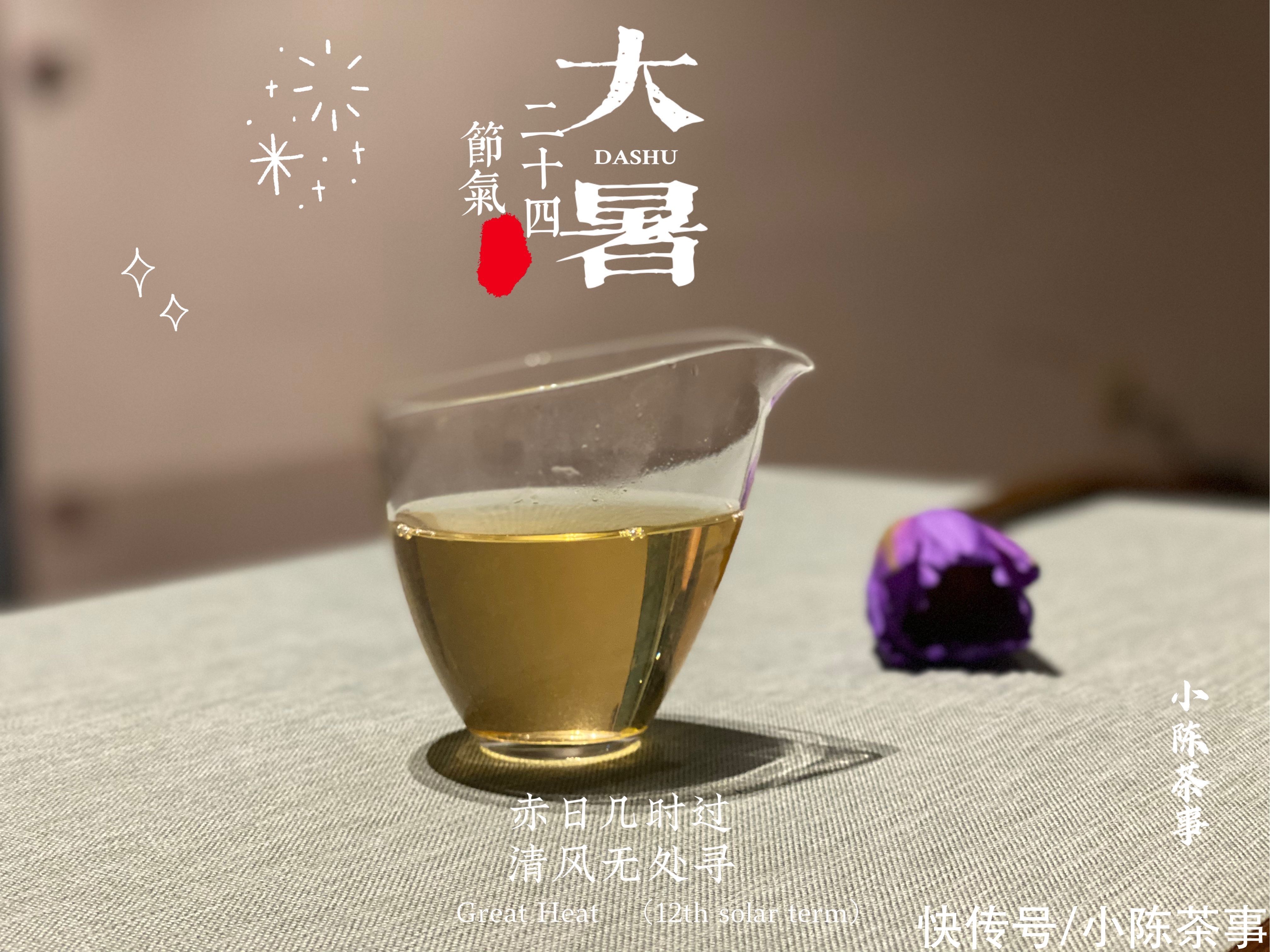 白茶品鉴手记|大暑来临，一年中最热的时节，这样喝白茶最解暑