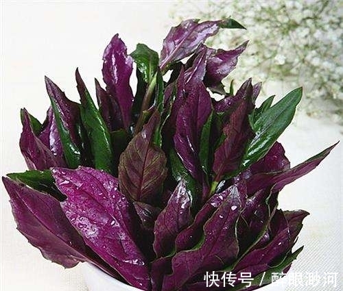 常吃|女性常吃此菜,再贵也别省,排毒素污血,子宫干净了,皮肤更细腻