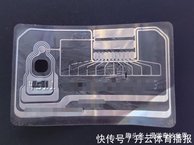 鹦鹉螺&这些东西内部长啥样?25张照片揭示日常事物看不见的一面!