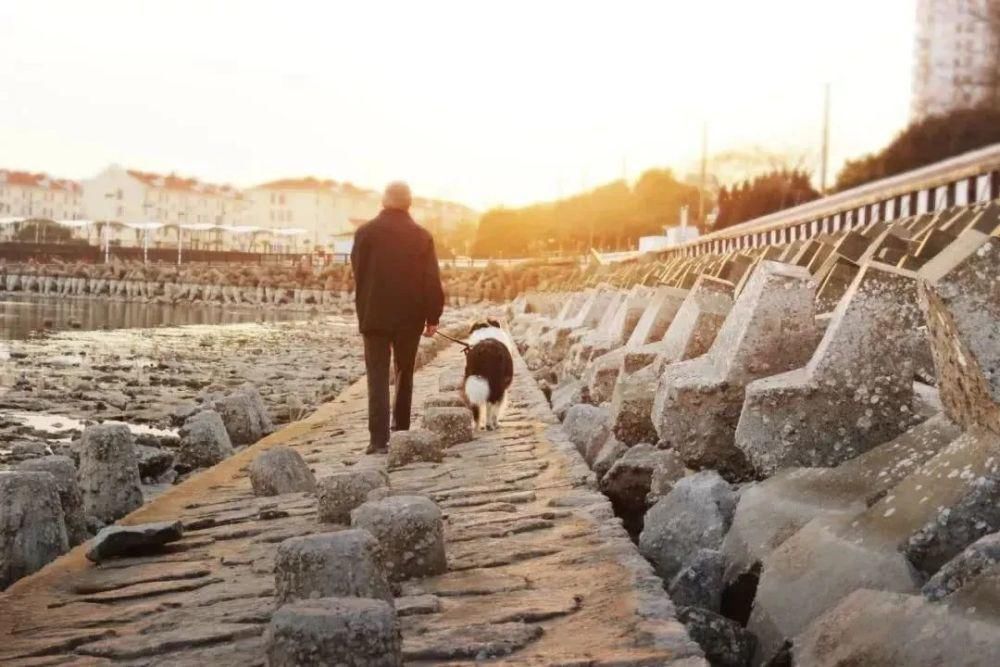 关节|走路和体重与寿命的关系，幸好今天知道了！