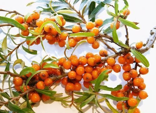 转氨酶|超市很常见的3种食物,值得每天吃一些,排毒养颜、增强体质!