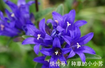 维生素c|屈臣氏值得回购的“洗面奶”好物,不踩雷不鸡肋,你值得拥有