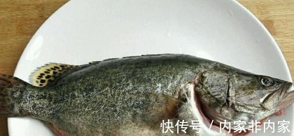 石斑鱼|公认最好吃的5种鱼,全吃过的是土豪