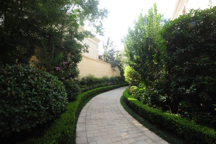 山翁|院子里的副作用,什么都和闹市反着来