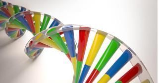 高嘌呤食物|为何“高尿酸”越来越多？专家坦言：2种食物吃下去，早晚痛风！