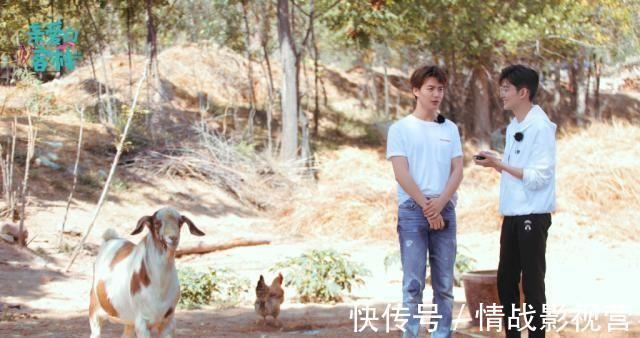 阚清子|《客栈3》阚清子大胆表白小马哥,不料天宇5字回复尽显“直男癌”