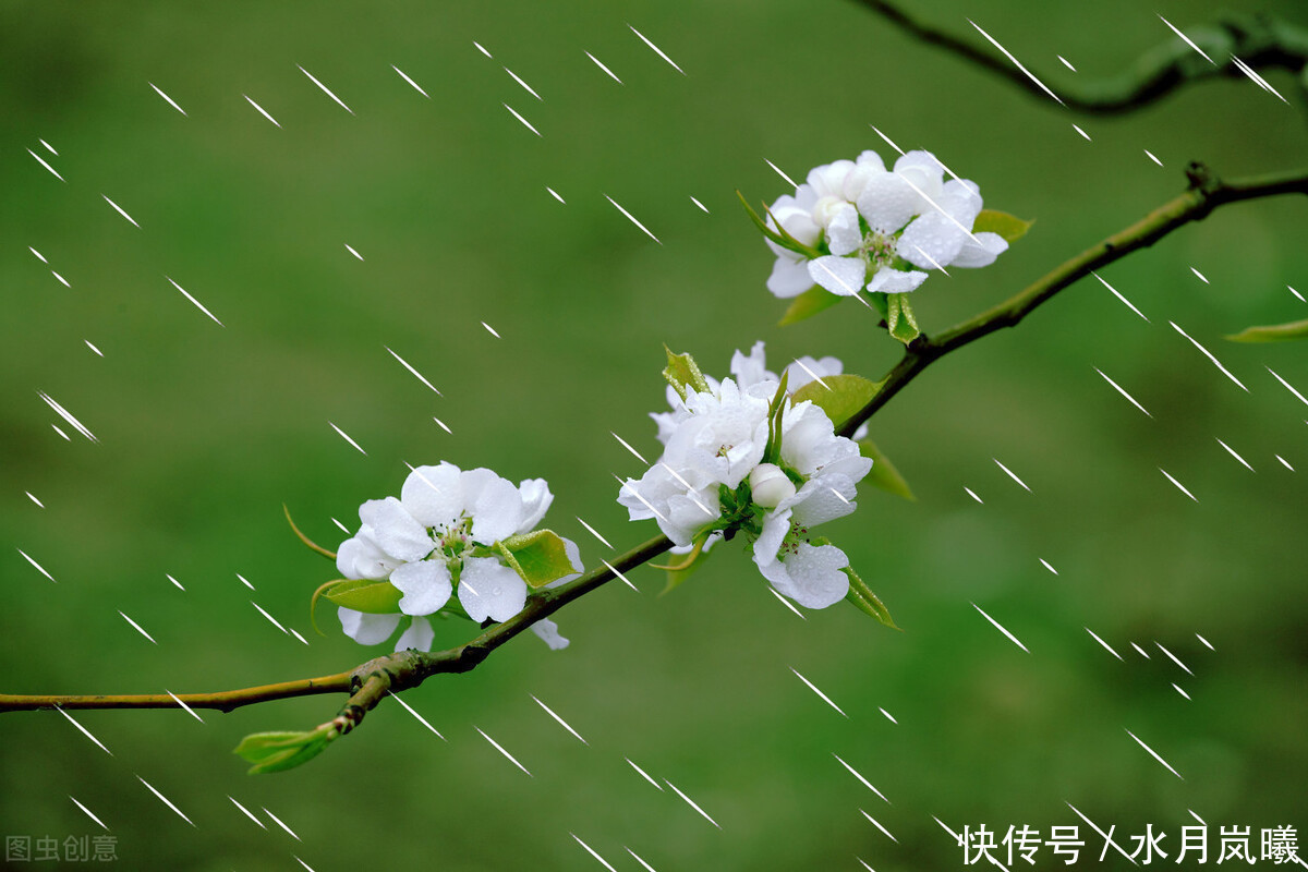 春夏秋冬@情思缱绻,碎语年华,总有一个人,止于唇齿,掩于岁月