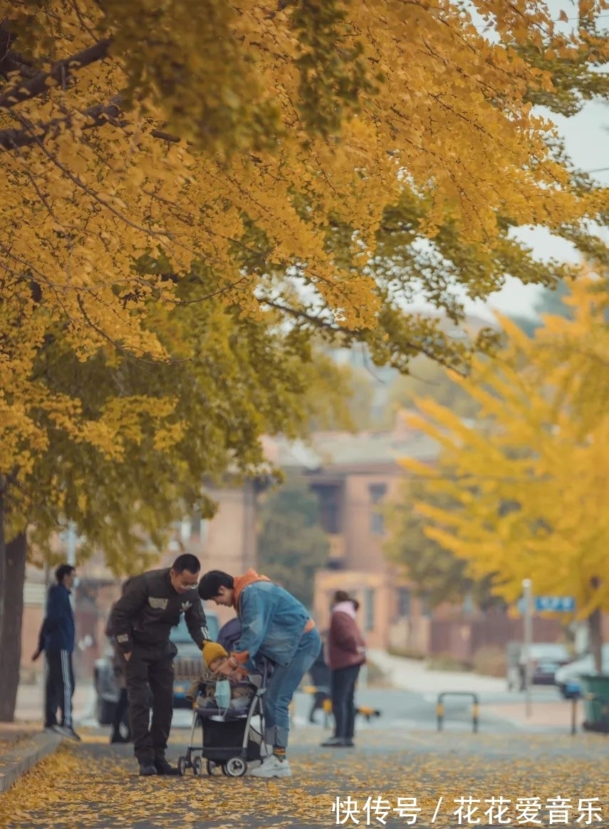 秋色|10月，最浪漫的大连即将刷爆朋友圈，简直令人欲罢不能