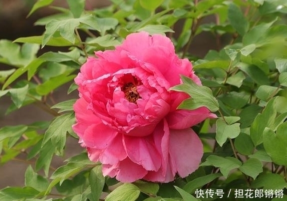 摩羯座|十二星座女生谁最漂亮?颜值排行榜,她似乎是上帝的宠儿