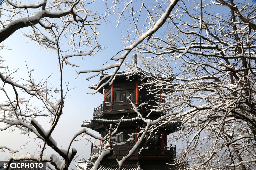 连云港市|江苏连云港：银装素裹雪世界