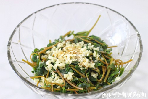 马齿苋|本是菜园里的草,没舍得除掉,随手一拌就是好菜,吃上瘾了