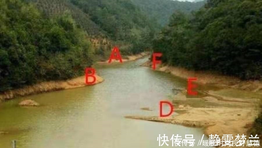 垂钓|鲤鱼好钓有诀窍,按我说的做,不信鱼获不够好