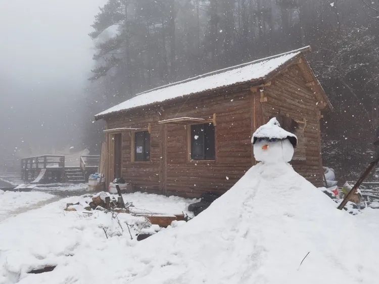 气温|杭州，雪！宁波，雪！绍兴，雪！可能要下到……太刺激了！