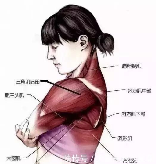 健身|你的健身效果怎么样注意这些,不要让你的汗水白流