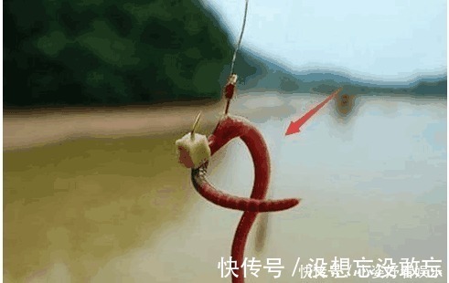蚯蚓钓鱼还空军 三个绝技让你分分钟渔获翻倍