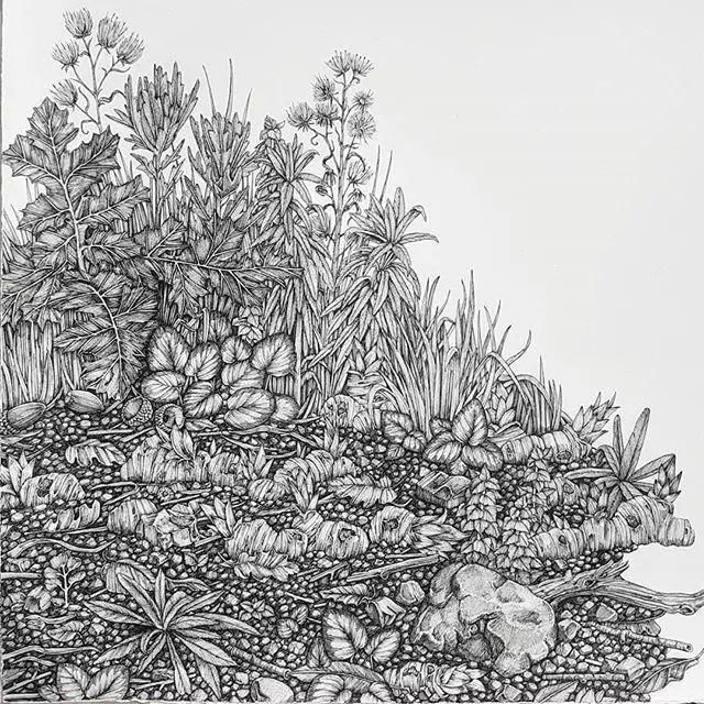 艺术学院|一幅画用掉上百支笔,看到最后成果这么震撼,也就不觉得心疼了