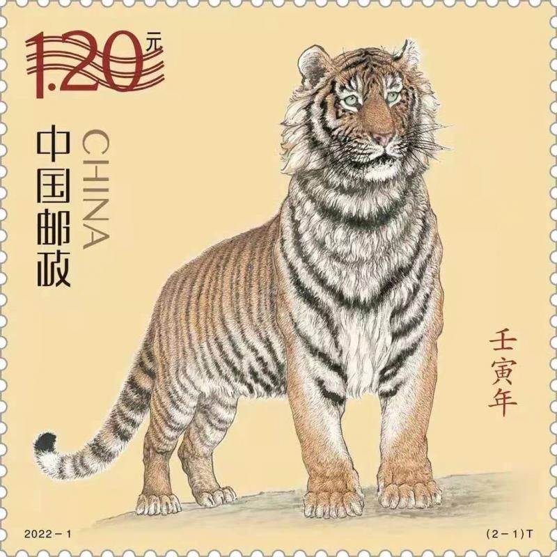 北京青年|虎年生肖邮票图稿正式亮相