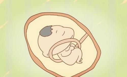 胎儿|怀孕几周最危险尤其是这两个时期,孕妇一定要知道