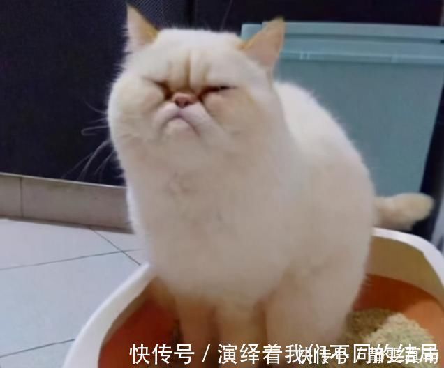 筷子|三明一大爷便秘1周,竟用筷子捅直肠10公分,差点送命!