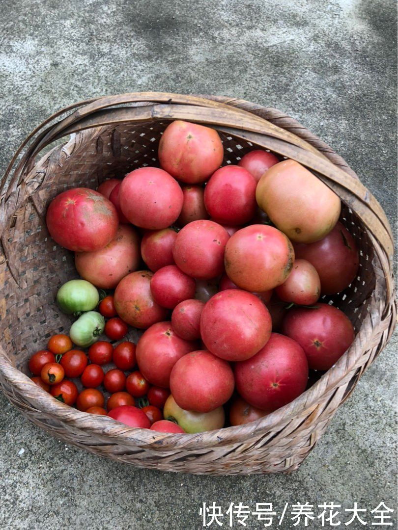常吃4种蔬菜,能改善便秘状况,比吃药还管用