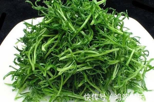 叶子|中国最好吃的6种极品野菜,你若是全吃过,请收下我的“膝盖”