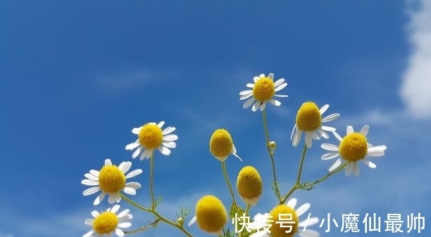 双子座|11月之后，红鸾星动，月老助力，心软原谅，激动相拥，破镜重圆