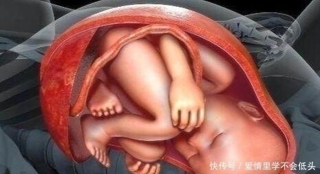 生长发育|为什么有些胎儿38周就出生,有些42周才出生,发动后还可以等吗?