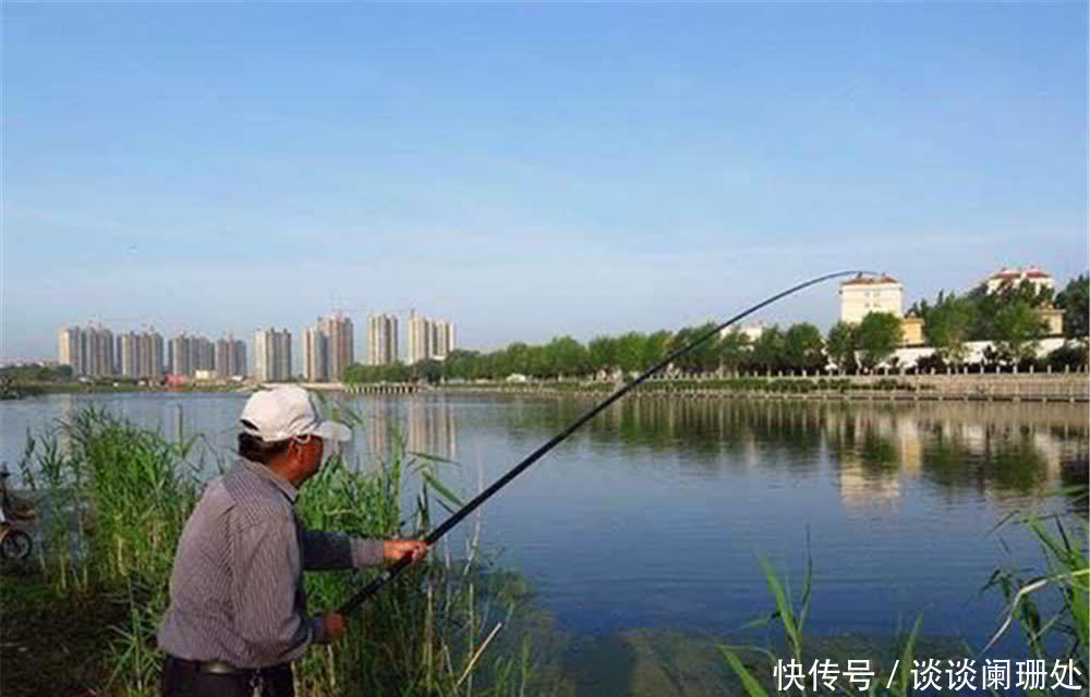 野钓鲫鱼，有“3多1少”的说法，能做到这些要点，很少钓不到鲫鱼