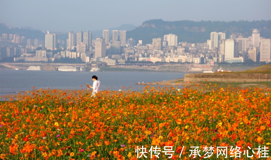 江水|三峡夜话｜铺花的万州消落带