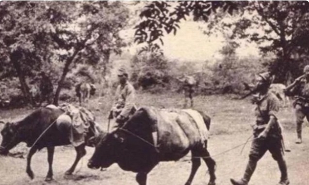 沉默|历史上的“鬼子进村”是怎么样的?这些照片令无数国人沉默