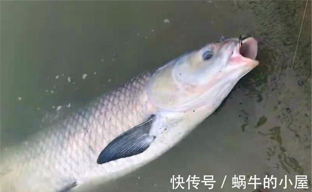 浮漂|大风天钓鱼，抛得出去是基础，双铅不行用跑铅，跑铅不行用甩大鞭