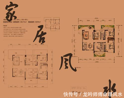 这6大驱邪植物 养在家中既辟邪又旺风水 快资讯