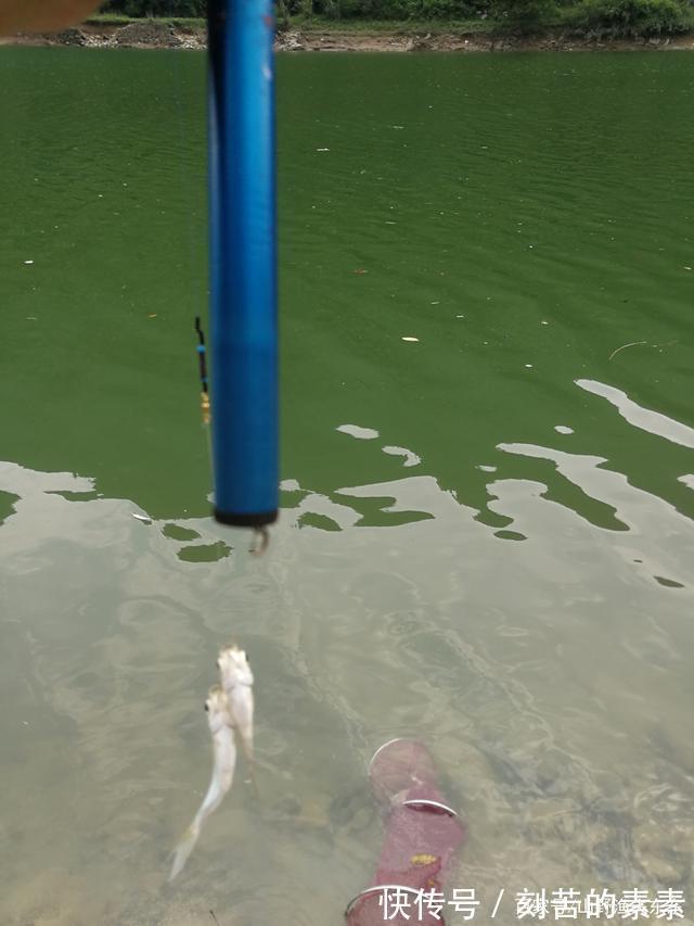 看天钓鱼，不同天气的钓鱼技巧，老钓友倾心之谈，值得收藏