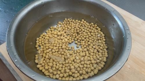 营养|想吃豆芽不用买了，教你在家发豆芽，5天就能吃，脆嫩营养又卫生