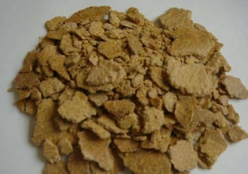 绿萝、文竹、富贵竹，盆栽黄叶不用慌，用点它马上搞定