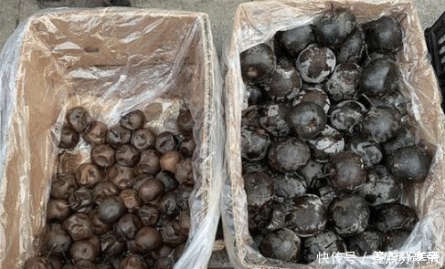 大爷|大爷摆摊卖“烂果子”,6元一斤,路人看了绕道走,识货人包圆了