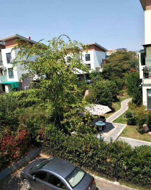 婚房|晒晒婆家给我准备的婚房,头一次见卫生间这么装,太前卫了!