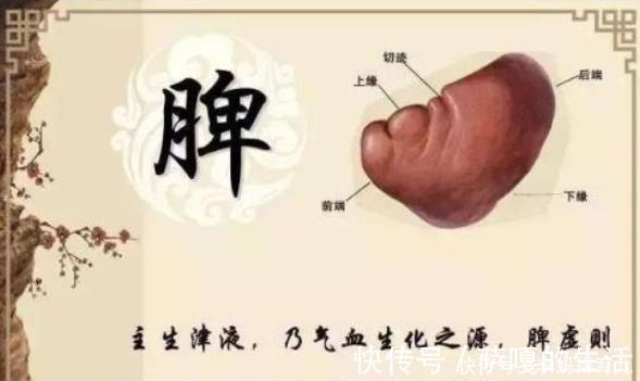 脾胃|中医坦露:脾虚身体有4个毛病!牢记3个妙方,让脾胃强健起来!