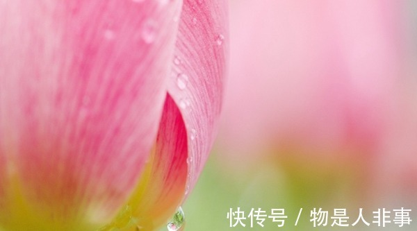 新妈妈|产后出汗、贫血等症状,建议食谱来调养!产后出汗、贫血等症状,建议食谱来调养!