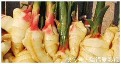 老中医|老中医:入秋后要多喝它,连喝7天肾变强,湿气没了也瘦了