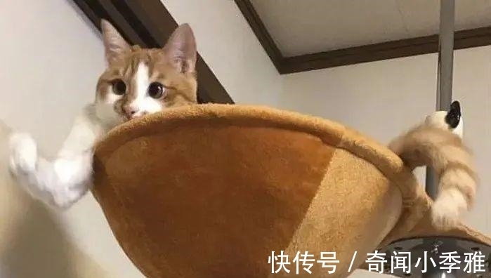 错觉!10个让人产生错觉的照片,被插画家涂抹几笔后,才能看懂