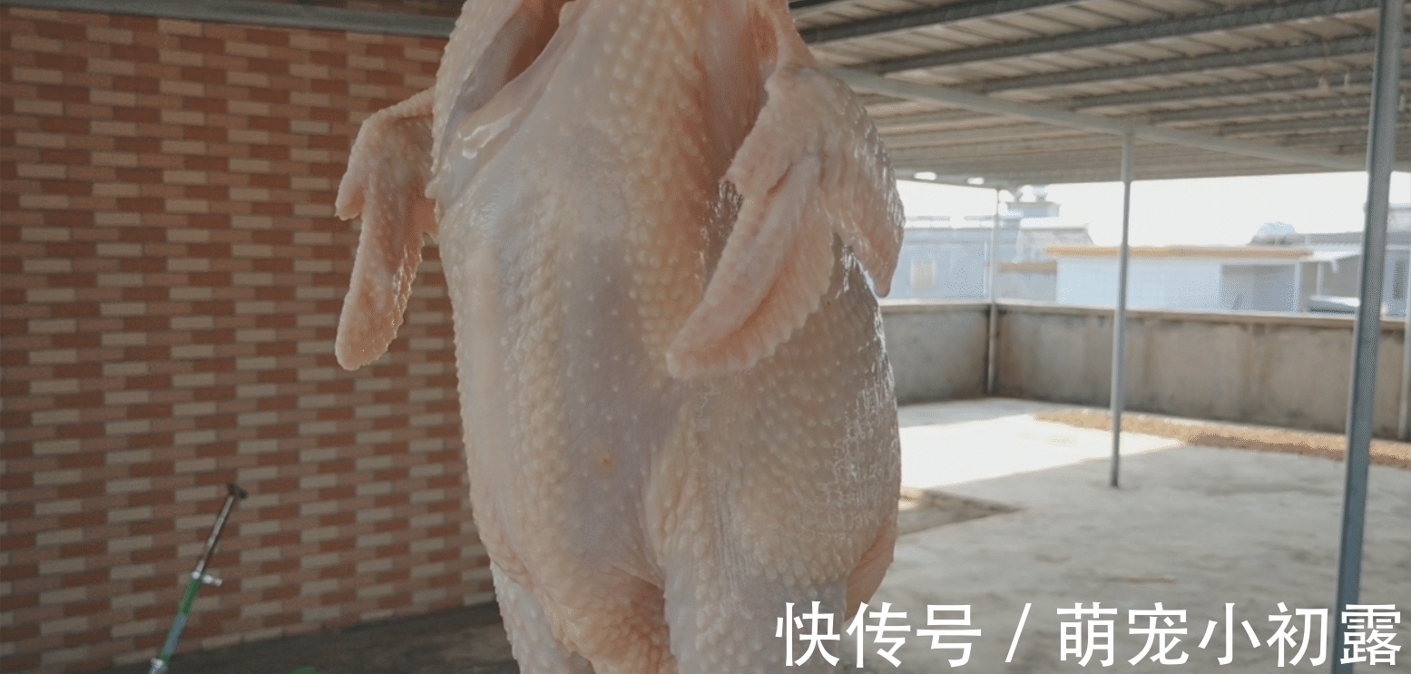 盐焗鸡家常做法,不用炒盐,一样皮香肉滑又入味,一只4斤不够吃