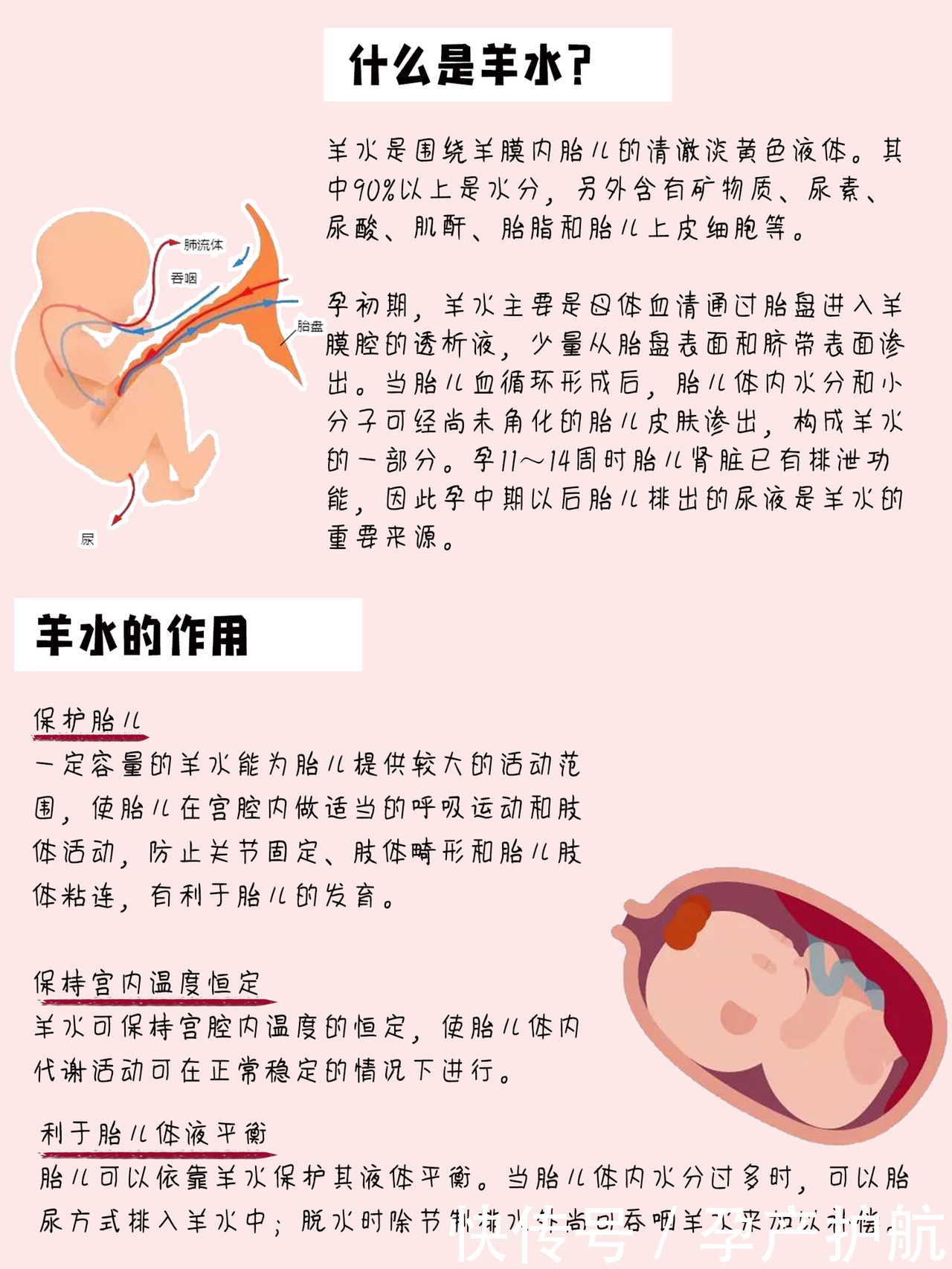 羊水异常怎么办?!|孕期羊水问题全方位解读| 孕期