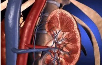 食物|加速高血压的3种食物,若你一个都不爱吃,那恭喜了