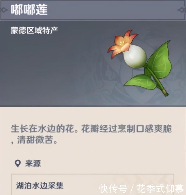 史莱姆|原神萝莉风阵营又添猛将,隐藏的史莱姆精?迪奥娜成深渊必抽