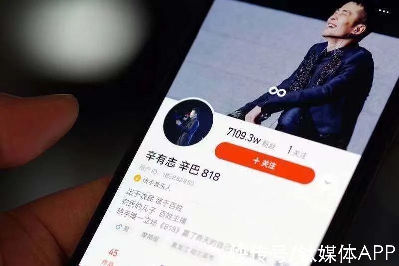 供应链|“被消失”的辛巴