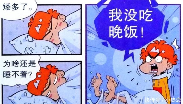 收留|猫小乐小衰“双膝跪平板”求收留金老师捶枕头解饿太奇葩！