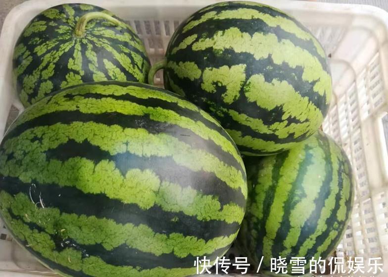 西瓜|三伏天,有钱没钱,都要多吃“伏天5瓜”,应季而食,顺利过夏天