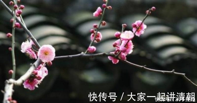 唐诗三百首|李商隐最令人绝望的一首诗,开篇就是千古名句,最后一句神来之笔